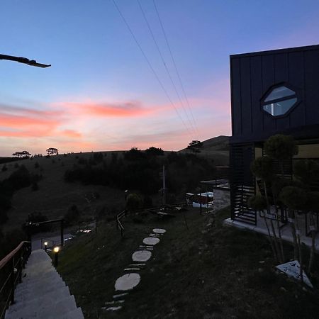 Villa Wild Nest Zlatibor Bear Exterior foto