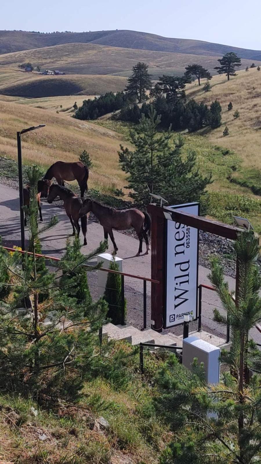 Villa Wild Nest Zlatibor Bear Exterior foto