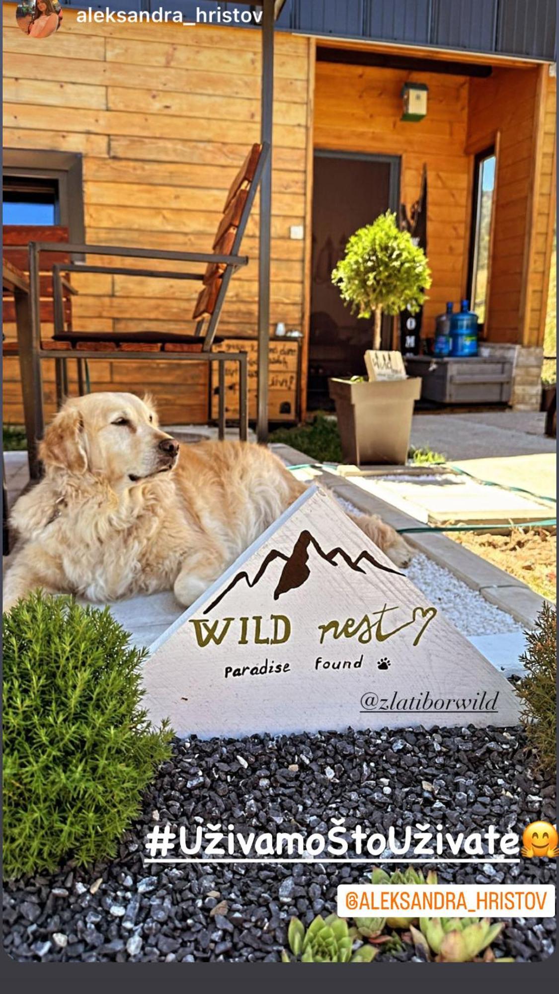 Villa Wild Nest Zlatibor Bear Exterior foto