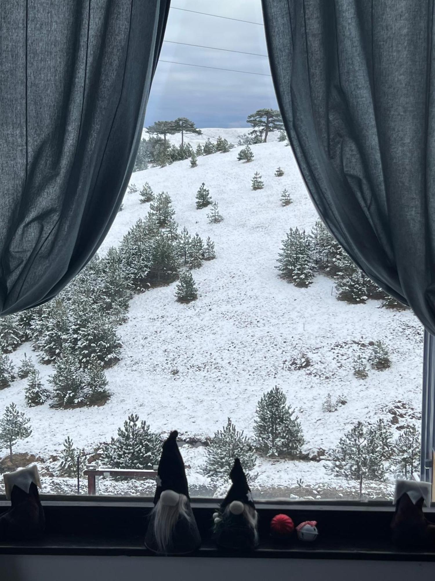 Villa Wild Nest Zlatibor Bear Exterior foto